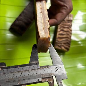 Escamas rectangulares de cuerno de carnero natural, materia prima para la fabricación de mangos de cuchillos - Product Image 2
