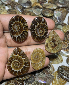 Cabochons en ammonites fossiles naturels de formes variées pour pendentifs et bagues en argent, et pierres fossiles de haute qualité en vrac pour l'exportation mondiale - Product Image 3