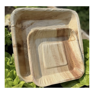 Assiette en feuille de palmier d'arec 100% naturelle, biodégradable, non toxique, légère, vaisselle écologique, alternative durable - Product Image 3