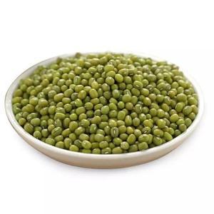 Prix d'exportation directe de haricots mungo verts pour les acheteurs, distributeurs et transformateurs alimentaires industriels étrangers - Product Image 2