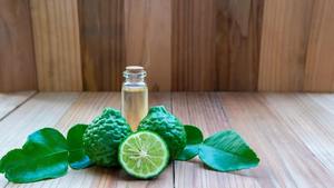 Emballage personnalisé huile essentielle de bergamote pure extrait de plantes cultivées à l'état sauvage en bouteille extrait de plante de qualité supérieure - Product Image 5