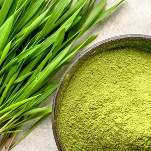 Poudre d'herbe de blé de haute qualité 100 % pure et naturelle, superaliment vert riche en vitamines, minéraux et antioxydants, vente en gros - Product Image 2