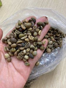 High Quality PHALCO <b>Robusta</b> Green <b>Coffee</b> <b>Beans</b> Grade 1 Screen 16/18 Vietnam Best Price Ready for Export in Jute Bag Packaging - Product Image 2