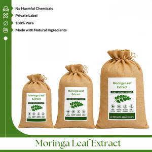 Extracto de Hoja de Moringa – Extracto Botánico Natural de Primera Calidad para Fabricación de Cosméticos, Cuidado Personal y Venta al por Mayor a Nivel Mundial - Product Image 5