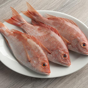 Poisson rouge entier congelé de qualité supérieure à vendre au prix de gros le plus bas - Product Image 3