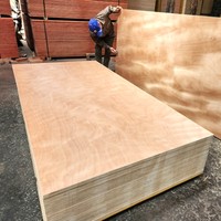 Norme européenne Okoumé Commercial Contreplaqué 12mm/15mm/18mm Okoumé Contreplaqué de haute qualité Vente en gros du fabricant au Vietnam