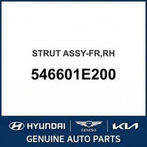 อะคเซนท์ นิว ช็อคส์ สตรัทส์ แอนด์ ไรท์ 546601E200 - Product Image 1