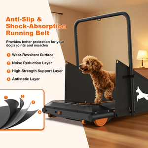 Tapis Roulant per Cani Resistente, Macchina per la Corsa per Cani di Taglia Piccola e Media fino a 100 kg, Voltaggio CC, Test della Frequenza Cardiaca Non Incluso - Product Image 6