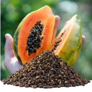 Graines de papaye de qualité supérieure du Vietnam |   Produit séché au soleil, nettoyé à la machine, en vrac, pour applications industrielles - Product Image 4