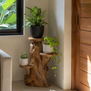 ARTERRA Support de Présentation en Bois Massif Artisanal Rustique en Racine de Teck Bio de Luxe pour Décoration Intérieure/Extérieure - Idéal Diwali - Product Image 3