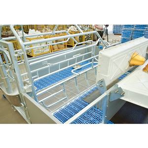 Cage de maternité en acier galvanisé pour élevage de porcs - Product Image 4