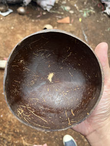 Ensemble de vaisselle classique vietnamien en noix de coco, cuillère écologique pour servir la soupe et les nouilles, fabricant direct, prix de gros, personnalisable - Product Image 2