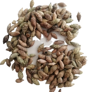 Fruit de Cocklebur séché en vrac pour fabricants – Cocklebur entier séché en vrac ANGLE - Product Image 1