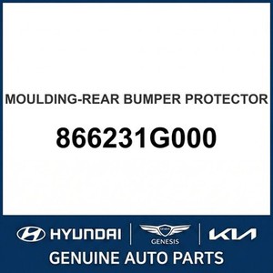 ริโอ ชุดแต่งตัวถังและขอบประตู รุ่น 866231G000 - Product Image 1