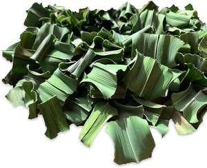 Poudre de feuilles de Pandan saveur verte naturelle de haute qualité prix bon marché approvisionnement en vrac en provenance du Vietnam - Product Image 5