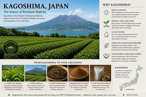 Fabulous Quality Reasonable Rates Japan <b>Roasted</b> Kagoshima Latte Dessert Bakery 1kg Hojicha Instant Green Tea Powder - Product Image 5