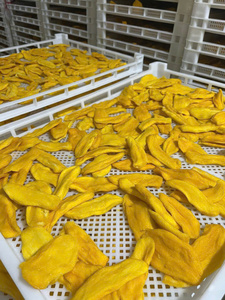 Tranches de mangue séchées FD de haute qualité, écologiques et durables, pour régime végétalien et décoration de pâtisserie, vente en gros - Product Image 3