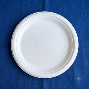Plato Ecológico de 9 Pulgadas de Pulpa de Caña de Azúcar, Plato Desechable a Prueba de Fugas, Plato Biodegradable para Alimentos para Restaurantes - Product Image 3