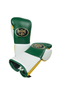 Gants de boxe professionnels en cuir, design mexicain vert et blanc, pour entraînement au sac de frappe et sparring, pour sports de combat et salle de sport - Product Image 6