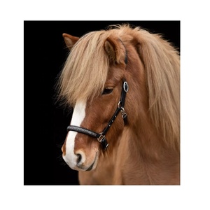 Combinaison personnalisée en cuir portable pour cheval équestre avec couleur personnalisée disponible - Product Image 2