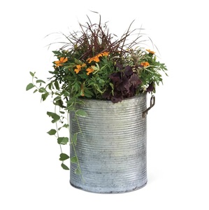 Amazing Rustic Galvanized Metal Planter Bucket With Flower And Green Plant Outdoor Garden Decorative <b>Container</b> - Product Image 1