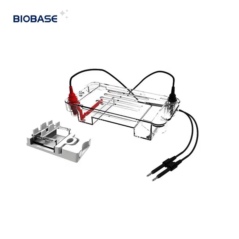 Transiluminador de electroforesis en gel con luz azul LED PCR portátil BIOBASE para detección de ADN