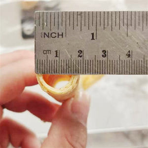 เครื่องทำครัวซองต์น้ำตาลแบบสองสีอุปกรณ์ทางการค้าสำหรับอุตสาหกรรมเครื่องทำไข่อัตโนมัติความจุขนาดใหญ่ - Product Image 2