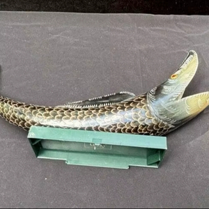 Pièce décorative en corne de buffle de qualité supérieure, prix bas, élégante, faite à la main, pour salon moderne - Product Image 2