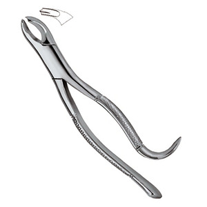 Pinza Extractora Dental de Acero Inoxidable con Empuñadura Moleteada, Instrumento Quirúrgico Clase I, Certificado CE, Color Plateado - Product Image 6