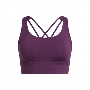 Sujetador Deportivo Personalizado para Mujer, Transpirable, que Absorbe la Humedad, para Fitness, Fabricante de Ropa OEM ODM - Product Image 1