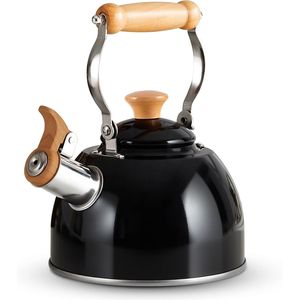 Bollitore da tè in acciaio inossidabile con manico ergonomico Cool Touch, teiera a fischio per piano cottura, per uso alimentare - Product Image 1