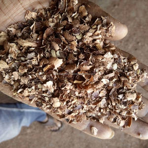 Poudre de coque de noix de cajou pour le bétail, déchets agricoles de coque de noix de cajou à vendre, moins de poussière, granulés de coque de noix de cajou - Product Image 5