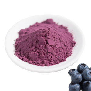 Top Selling 100% Natural Blueberry Fruit Powder Pure Food Grade Vaccinium corymbosum Powder for Health Dietary Supplements - Product Image 3