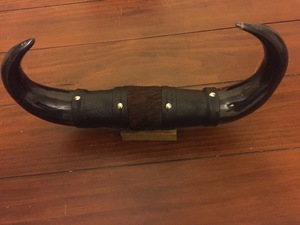 Mounted Steer Horn Set Eco-Friendly Handmade <b>Rustic</b> Modern Animal Love Polished Horns Bull Western Home Decoration Easter - Product Image 2