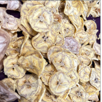 Polvo de Plátano Natural, Fruta Liofilizada, India, Maharashtra, Patil Foods