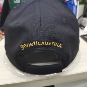 Casquettes de baseball sportives personnalisées à prix abordable et de bonne qualité, avec logo sur mesure, vente en gros, nouveau design, casquettes sportives vierges à 6 panneaux - Product Image 3