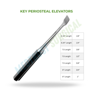 Key Periosteal Elevators 6.34 7.5 8 Inch Orthopedic Spine Surgery Instrument For Periosteum Elevation - Product Image 2