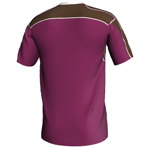 เสื้อเจอร์ซีย์ฮอร์ลิง GAA พรีเมียม โพลีเอสเตอร์ 100% คุณภาพสูง ระบายเหงื่อได้ดี พิมพ์ลายแบบซับลิเมชั่น ปรับแต่งได้ - Product Image 5