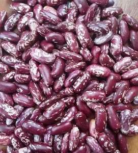 Mijo Indio Entero 100% Natural, Legumbres de Alta Nutrición, Suministro a Granel - Product Image 1