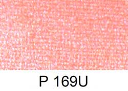 P 169U