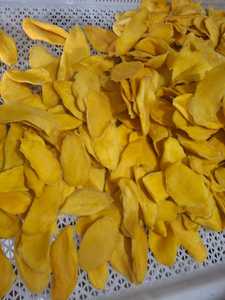 Tranches de mangue séchées moelleuses de qualité commerciale |   Qualité constante – Longue durée de conservation pour les acheteurs en gros - Product Image 3