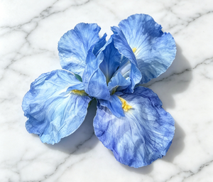Fleurs artificielles géantes de haute qualité, réalistes et naturelles, <span class=keywords><strong>iris</strong></span> de grande taille pour la décoration d'hôtels, de mariages et de scènes événementielles - Product Image 5