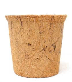 Maceta de Fibra de Coco Natural - Contenedor Biodegradable para Cultivo en Viveros y Horticultura |   Fibra de Coco Natural - Product Image 5