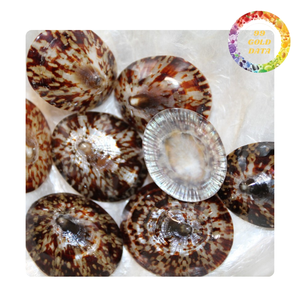 Coquille de limette naturelle polie, objet décoratif à thème animalier pour la décoration intérieure de maison de plage, souvenir et projets de bricolage - Product Image 4