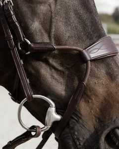 Modern Unique Leather Bridle for Horse Annabelle <b>Equestrian</b> Best Wholesale Price customize logo size bridle supplier - Product Image 2