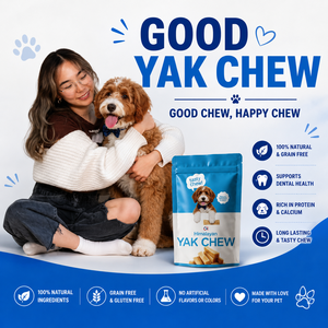Masticable para perros del Himalaya más vendido, snack orgánico rico en proteínas, masticable de larga duración para perros, masticable natural de yak del Himalaya, OEM ODM - Product Image 5