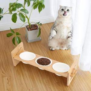 Plateau de nourrissage surélevé pour animaux de compagnie XWOOD, en acier inoxydable de qualité supérieure, imperméable, OEM FT15 - Product Image 1