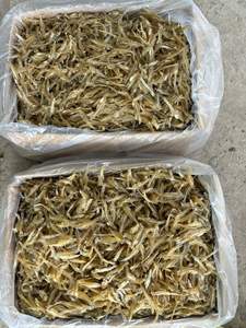 Anchoas Secas Naturales Premium 100% de Vietnam, 12+ Meses de Vida Útil, Lugar Fresco y Seco, Listas para Usar, Venta al por Mayor, Exportación - Product Image 6