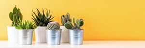 Ventes en gros de jardinières d'extérieur écologiques en fer avec revêtement en poudre pour jardins, patios, balcons, maisons et hôtels - Product Image 3