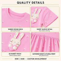 Robe de fête d'anniversaire pour filles, logo de marque personnalisé, printemps, ODM, 2-12 ans, coton écologique, design princesse, longueur genou